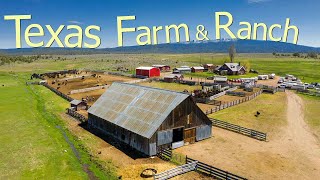 How Texas Farmers Are Running 247000 Farms And Ranches  Farming Documentary [upl. by Lawler]