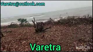 Clearing my Land to build my Tiny home🛖 on the Beach Africa ghana liberia Tinyhomes [upl. by Legra]