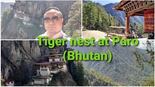 Tiger Nest Paro Bhutan Temple [upl. by Tila]