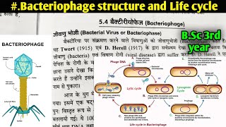 Bacteriophage structure and life cycle  Lytic and lysogenic life cycle of Bacteriophage [upl. by Novaat]