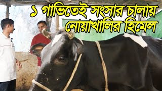 গরুর খামার ছোট কিন্ত খামারি অনেক অভিজ্ঞ  গরু পালন শিখুন পরে গরুর খামার করুন। Cow Farming BD [upl. by Spitzer]