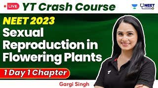 Sexual Reproduction in Flowering Plants  YT Crash Course NEET 2023  Dr Gargi Singh [upl. by Nedrud]