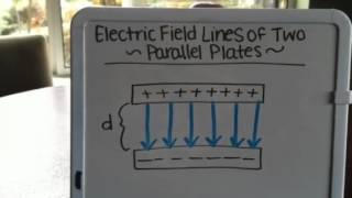 Parallel plate capacitor electric field lines [upl. by Eachelle987]