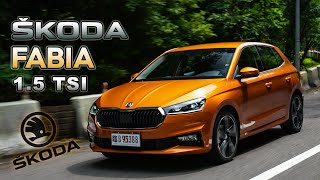 打破小車格局！空間、操控大躍進｜Skoda Fabia 15 TSI 新車試駕 [upl. by Eimia]