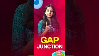 Gap Junctions cellbiology lifescience csir neet gate biology sciencefacts science facts [upl. by Neelsaj]