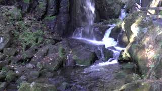 Wasserrauschen im Schwarzwald [upl. by Lynne]