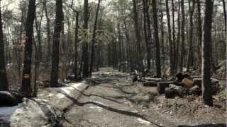 Lakewoods Tent City Homeless Encampment Under Pressure From Orthodox Jews [upl. by Olracnaig]