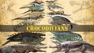 CROCODILIANS  Size Comparison Crocodiles alligators caimans amp gharial [upl. by Irik]