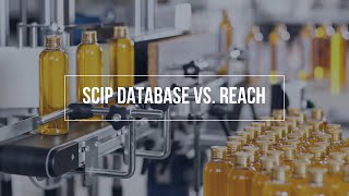 SCIP Database vs REACH SVHCs  A Comparison [upl. by Ahsat]