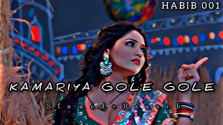 Kamariya Gole Gole Dole Raja Ji 🥵 SlowedReverb Lofi SongHABIB001 MUSIC 🎶🎧😍 [upl. by Ramsa]