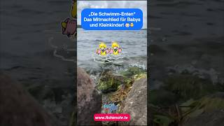 Babyschwimmen  Kleinkindmusik  „Die SchwimmEnten“  kindermusik kinderlieder musikfürkinder [upl. by Azar]