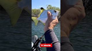 Kayak fishing on new Hand Caster REEL [upl. by Rehtse]