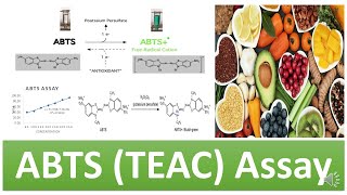 Assessing Antioxidant Potential The Significance and Utility of the DPPH Assay in Research  GlpBio [upl. by Asilrak367]