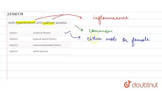 both hypanthodium and cyathium possess [upl. by Nilrak]