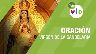 Oración a la Virgen de la Candelaria 🙏🏻 TeleVID VirgenDeLaCandelaria [upl. by Aniret]