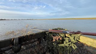 WILDFOWLING Ouse Washes  January 2024 [upl. by Emmerie]