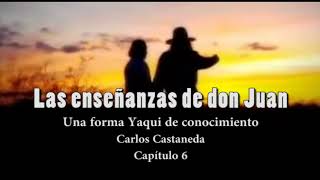 Las enseñanzas de don Juan Capítulo 6 C Castaneda Voz humana [upl. by Emylee774]