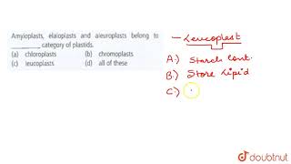 Amyloplasts elaioplasts and aleuroplasts belong to  category of plastids [upl. by Ciprian]