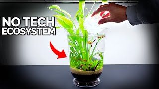 No Tech Ecosystem Vase For Anywhere In Your Home [upl. by Leen706]