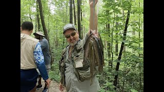 West fork Chattooga trout fishing [upl. by Nomannic]