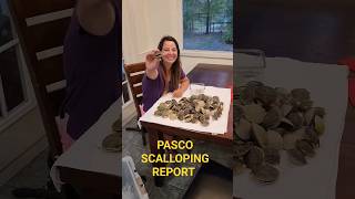 SCALLOPING REPORT PASCO COUNTY 2023 fishing scalloping floridafishing [upl. by Barron]