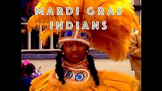 Secrets of Mardi Gras REVEALED [upl. by Tom]