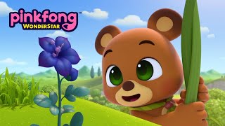 Tanis Song  Pinkfong Wonderstar  Animation amp Cartoon For Kids  Pinkfong Hogi [upl. by Georgi]