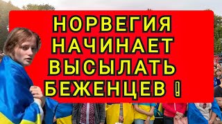 НОРВЕГИЯ НАЧИНАЕТ ВЫСЫЛАТЬ БЕЖЕНЦЕВ [upl. by Cralg]