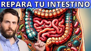 Todo lo que necesitas para reparar tus INTESTINOS con Escuela de Salud Integrativa [upl. by Haggi651]