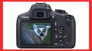 How to adjust Shutter Aperture amp ISO on a Canon EOS DSLR camera [upl. by Bremble]