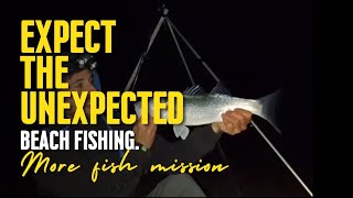 Night fishing my local beach mark catching big bass on squid lugworm and whiting seafishinguk [upl. by Sension]