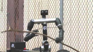 Bimanual Dexterous Robotic Platform Robo Sally [upl. by Jandy]