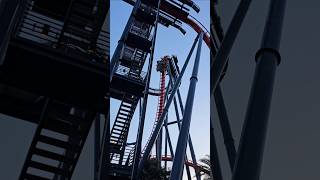 Sheikra first half off ride POV at Busch Gardens Tampa [upl. by Ellon]