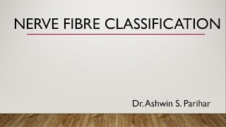 Nerve fibre classification [upl. by Yllek776]