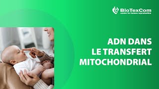 ADN de donneuse dans le transfert mitochondrial 2023 [upl. by Nylinnej]