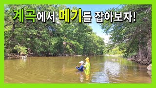 무더운 여름 시원한 계곡에서 메기낚시 계곡낚시 메기 [upl. by Angid]