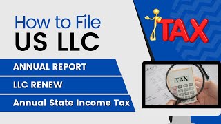 How to File US LLC🇺🇲 Annual State Income Tax  LLC RENEW  ANNUAL REPORT [upl. by Teddie]