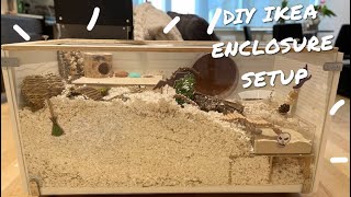 SETTING UP IKEA DIY ENCLOSURE  NATURAL THEME  SYRIAN HAMSTER [upl. by Howes]