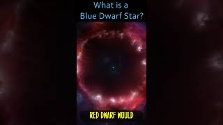 What is a Blue Dwarf Star [upl. by Adnahsor752]