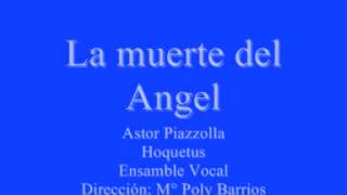 La Muerte del Angel  Astor Piazzolla  VC Néstor Zadoff [upl. by Atilam]