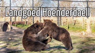 Dierentuin Landgoed Hoenderdaell 4K [upl. by Rivera508]