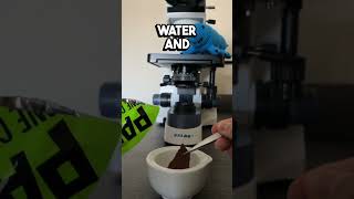 Microbe VS One Chip Challenge microscope science onechipchallenge [upl. by Eatnwahs]