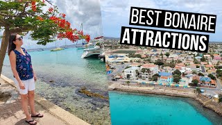 Bonaire Travel Guide  The Best Things to See and Do in Bonaire [upl. by Eceined]