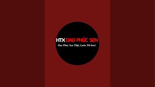 Livestream sale SỐC  HTX DAO PHÚC SEN  Chuẩn Dao Phúc Sen Nói Không Với Hàng Kém Chất Lượng [upl. by Blithe]