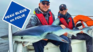 PÊCHE au REQUIN PEAU BLEUE guidé par JORIS Le RECORD est TOMBÉ 🦈 [upl. by Yevol]