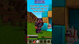 Minecraft Noob Vs Pro Vs Haker in taming dog 🐕 shorts viral minecraft [upl. by Imeaj]