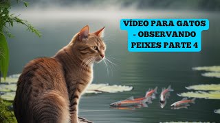 Vídeo para GATOS  Observando peixes parte 4 [upl. by Marelya337]