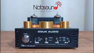 Douk Audio X1 TDA7498E Amplificatore in classe D con Valvole [upl. by Kurys]