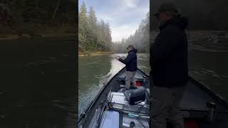 Catching salmon on the Sol Duc River with Mason Jackson hohrainforest solducriver cohosalmon [upl. by Nie985]