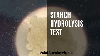 Starch Hydrolysis test  Amylase enzyme test of bacteria microbiology sainilearningclasses [upl. by Dagnah7]